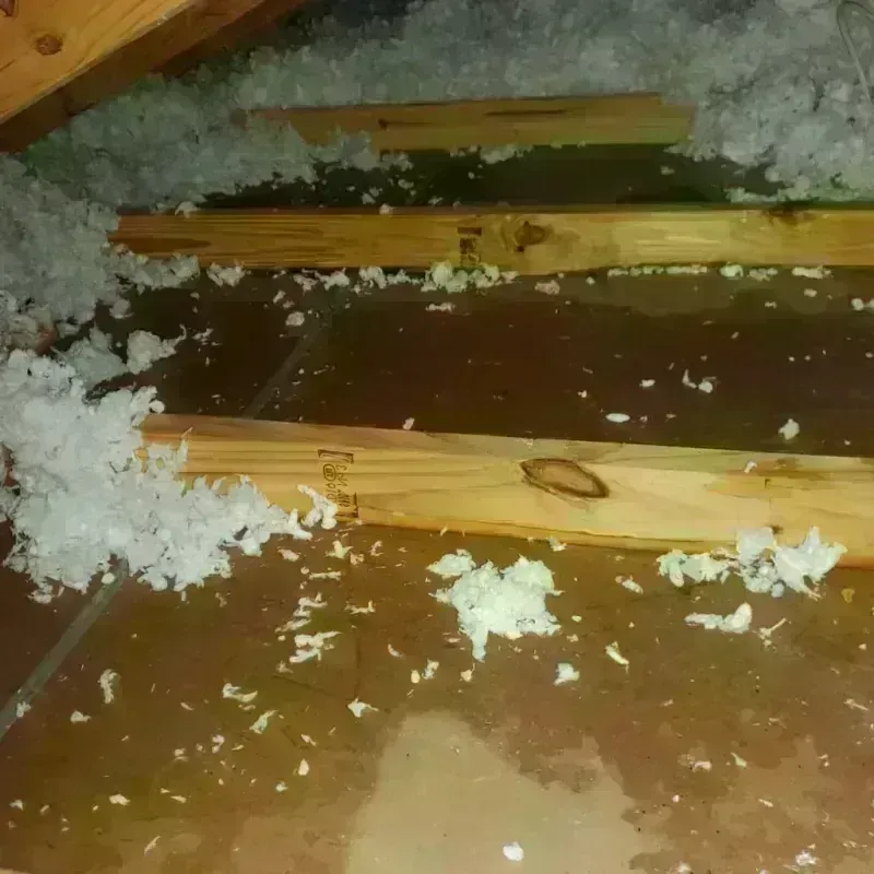 Attic Water Damage in Sheffield, OH