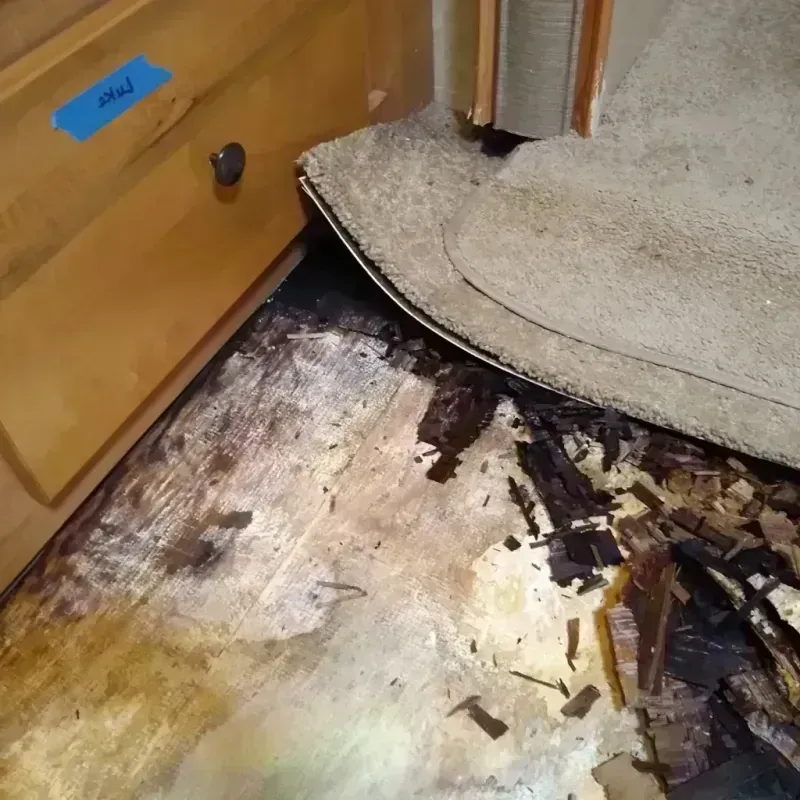 Wood Floor Water Damage in Sheffield, OH